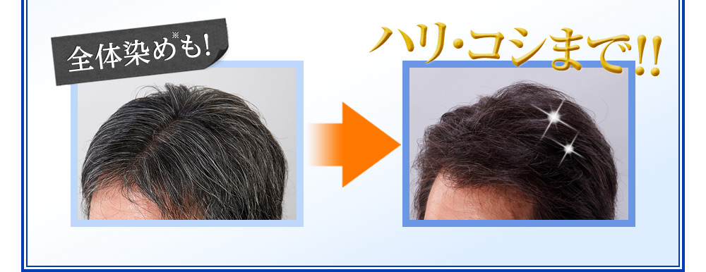 全体染めも!ハリ・コシまで!!
