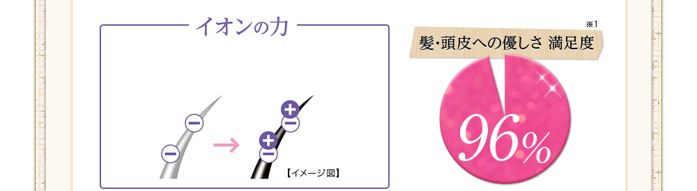 イオンの力+4種の天然染料+無添加 髪・頭皮への優しさ満足度96%