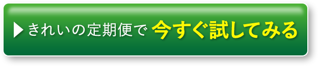 きれいの定期便で今すぐ試してみる