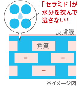 イメージ図