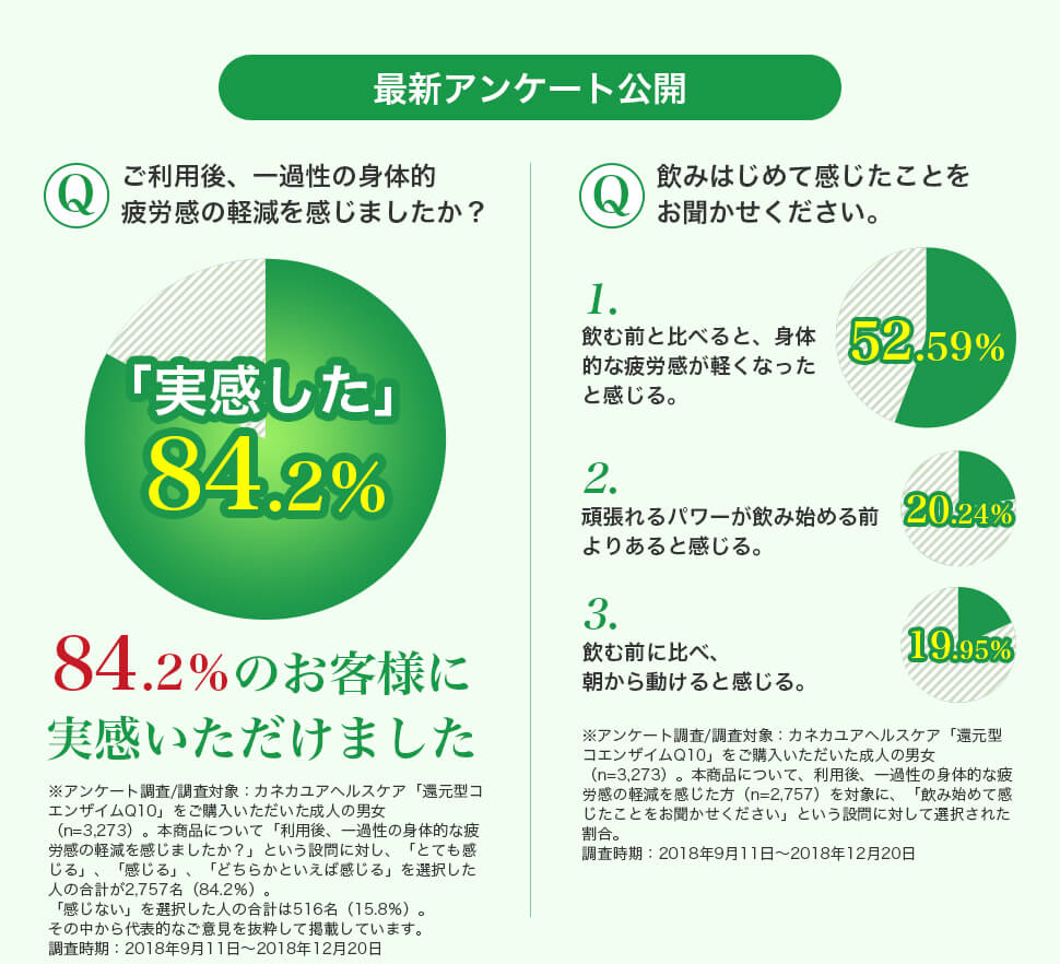 最新アンケート公開