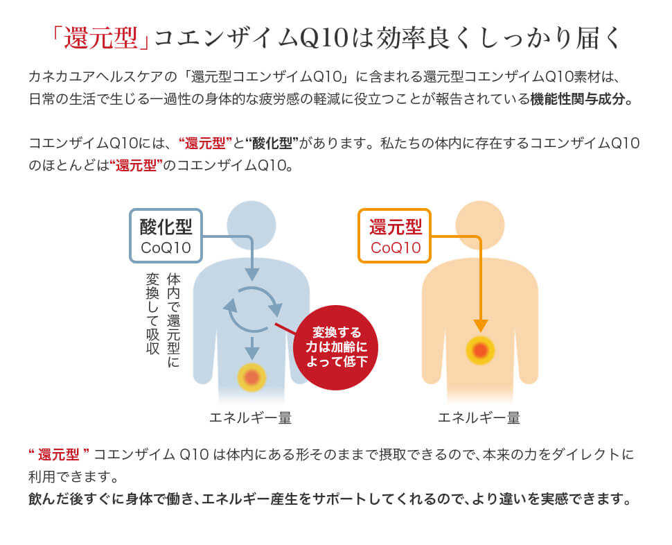 「還元型」コエンザイムQ10は効率良くしっかり届く