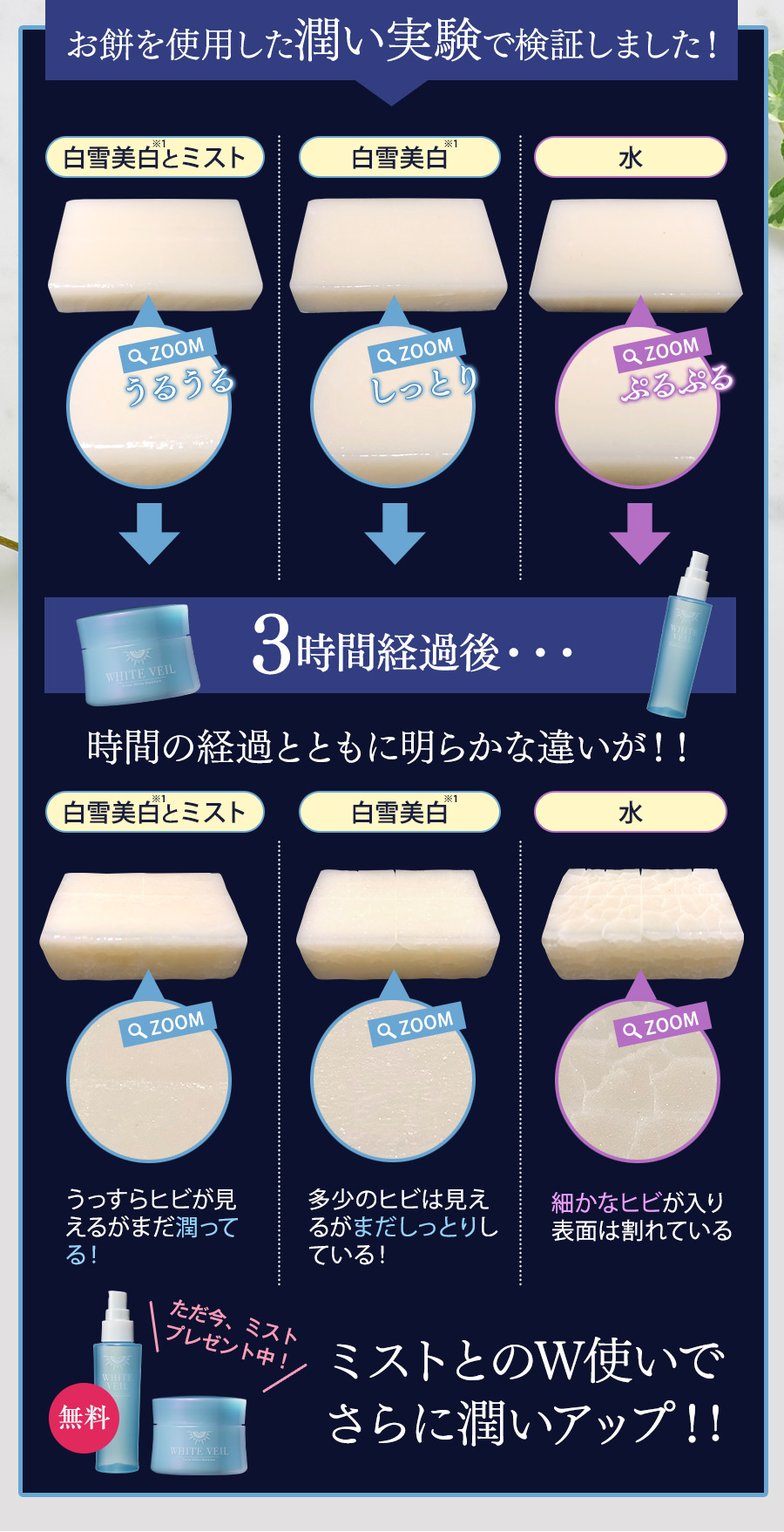 お餅を使用した潤い実験で検証しました!