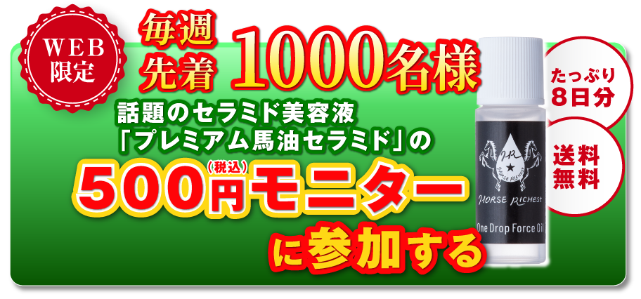 500円モニターに応募する